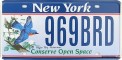 Nummernschilder / Kfz-Kennzeichen USA 1995 1990er New York NY
