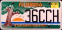 Nummernschilder / Kfz-Kennzeichen USA 2007 2000er Florida FL