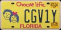 Nummernschilder / Kfz-Kennzeichen USA 1999 1990er Florida FL
