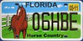 Nummernschilder / Kfz-Kennzeichen USA 2008 2000er Florida FL