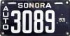 Nummernschilder / Kfz-Kennzeichen Mexiko 1921 1920er Sonora